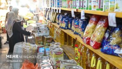 مصوبه کارگروه ارزی درباره رسیدگی به ارزش کالاهای اساسی ابلاغ شد