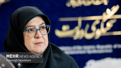 پنل‌های خورشیدی، راهکاری برای عبور از بحران انرژی