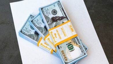 جزئیات «پیش‌فروش ارز» اعلام شد؛ آغاز پیش‌فروش چهارشنبه ۲۱ خرداد