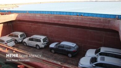 واردات خودرو توسط ایرانیان خارج در دست بررسی است